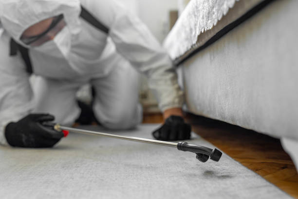 Professional Bed Bug Control technician working in Leith-Hatfield, PA